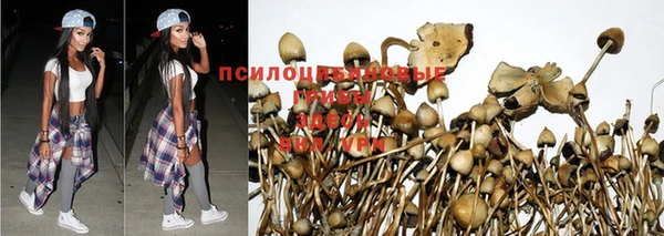 спиды Абинск